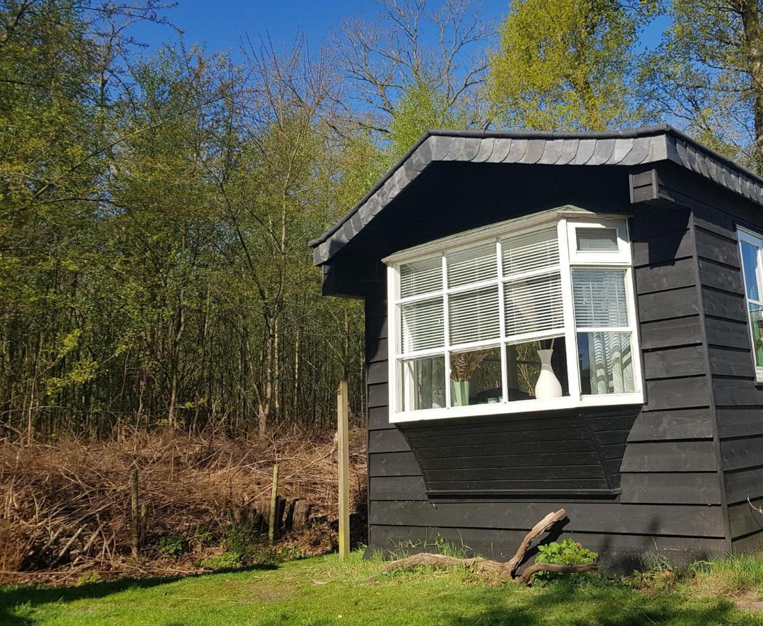 Chalet 2 Pers Met Hottub - Aan De Bosrand - Ijsselmeer - Gaasterland - Bos Rijs ภายนอก รูปภาพ
